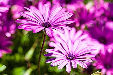 《战神》总监预热《战神6》 将和洛基有关