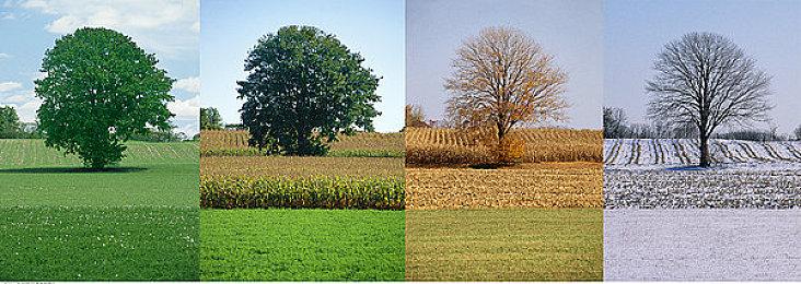 《GT赛车7》12月更新正式上线 添加5辆新车