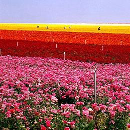 《最终幻想7：重制版》第三部不是PS6独占 剧情必让粉丝满意